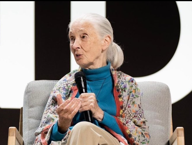 Jane Goodall